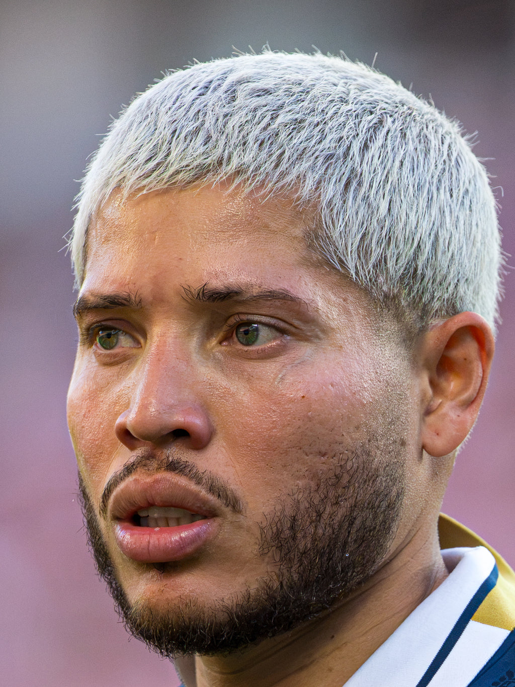 FIFA WORLD CUP 2026